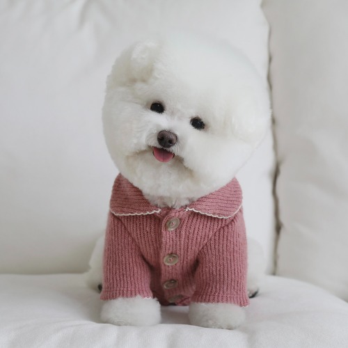 wool cozy collar cardigan (indi pink)